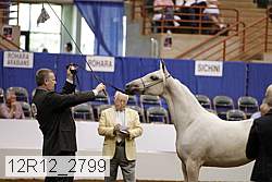 12r12_2799 thumbnail