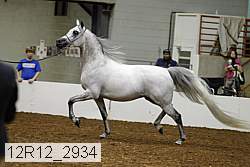 12r12_2934 thumbnail