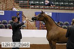 12r12_2946 thumbnail