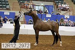 12r12_2972 thumbnail