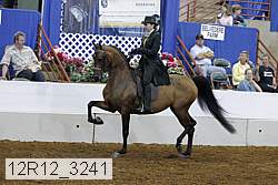 12r12_3241 thumbnail