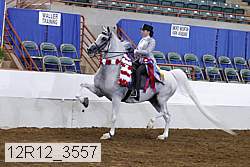 12r12_3557 thumbnail