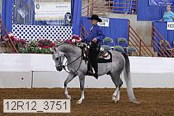 12r12_3751 thumbnail