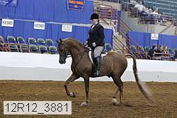12r12_3881 thumbnail