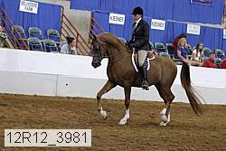 12r12_3981 thumbnail