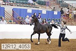 12r12_4053 thumbnail