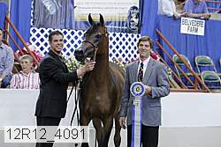 12r12_4091 thumbnail