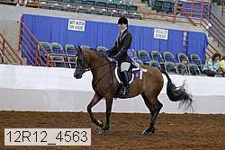 12r12_4563 thumbnail