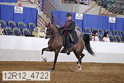 12r12_4722 thumbnail