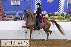 12r12_4773 thumbnail