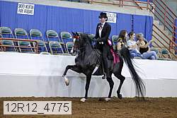 12r12_4775 thumbnail
