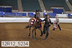 12r12_5234 thumbnail