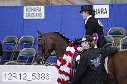 12r12_5386 thumbnail