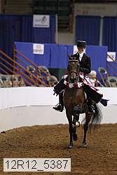 12r12_5387 thumbnail