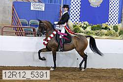 12r12_5391 thumbnail