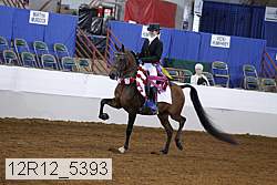 12r12_5393 thumbnail