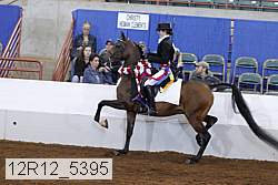 12r12_5395 thumbnail