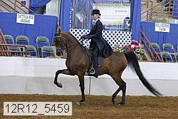 12r12_5459 thumbnail