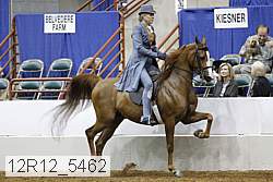 12r12_5462 thumbnail