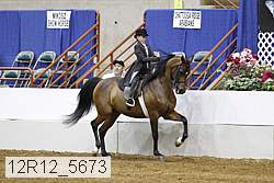 12r12_5673 thumbnail