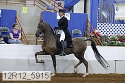 12r12_5915 thumbnail