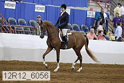 12r12_6056 thumbnail