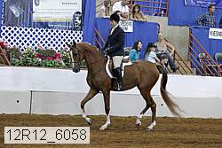 12r12_6058 thumbnail