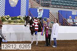12r12_6265 thumbnail