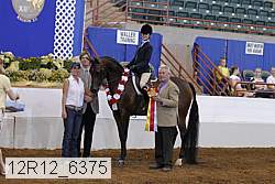 12r12_6375 thumbnail