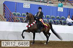 12r12_6486 thumbnail