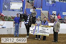 12r12_6499 thumbnail