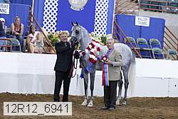12r12_6941 thumbnail