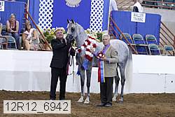 12r12_6942 thumbnail