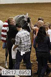 12r12_6952 thumbnail