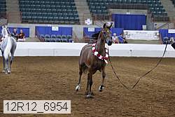 12r12_6954 thumbnail