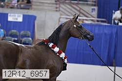 12r12_6957 thumbnail