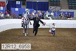 12r12_6958 thumbnail