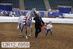 12r12_6959 thumbnail