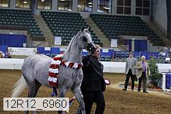 12r12_6960 thumbnail