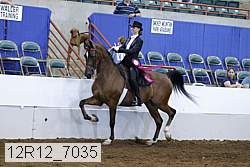 12r12_7035 thumbnail