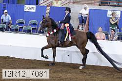 12r12_7081 thumbnail