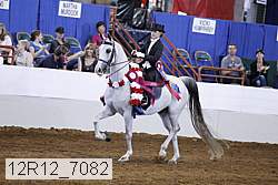 12r12_7082 thumbnail