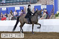 12r12_7161 thumbnail