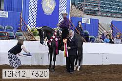 12r12_7320 thumbnail