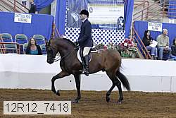 12r12_7418 thumbnail