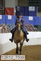 12r12_7509 thumbnail