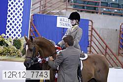 12r12_7743 thumbnail