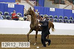 12r12_7818 thumbnail