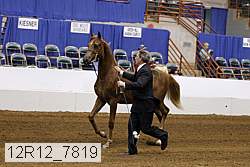 12r12_7819 thumbnail