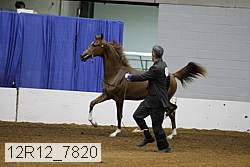 12r12_7820 thumbnail